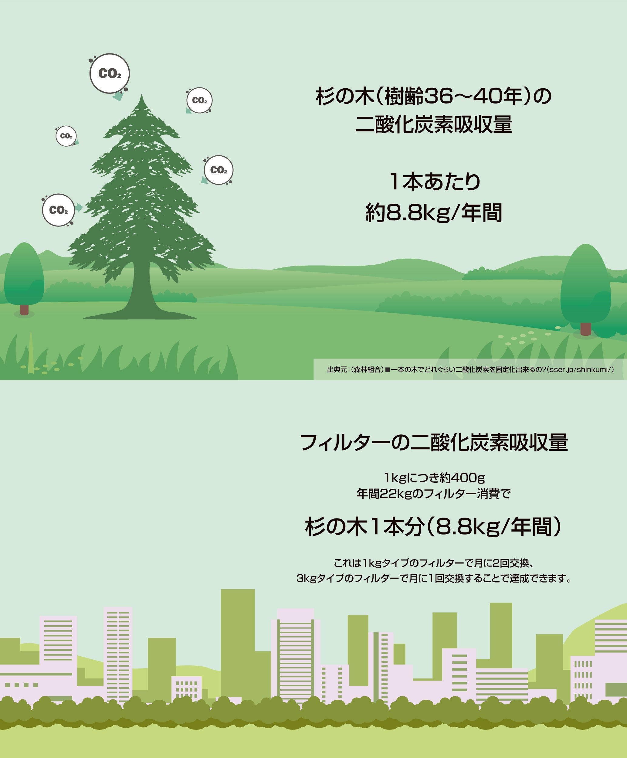 杉の枝葉　×一本分 杉の木に換算 – Revcell online store